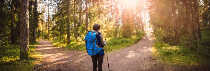 Who makes the best portable water purifiers?