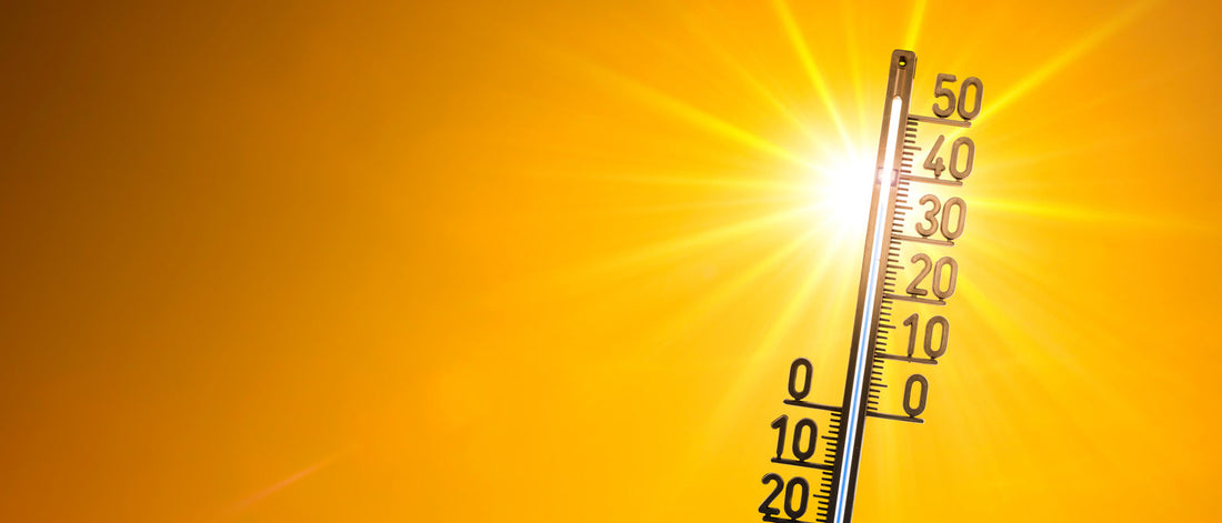 Preparing for Drought