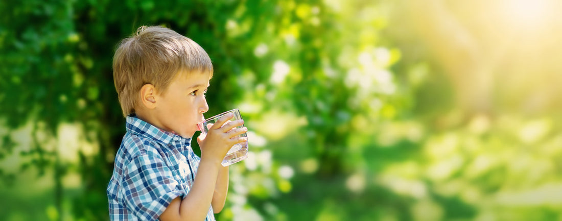 The best way to purify well water for a home