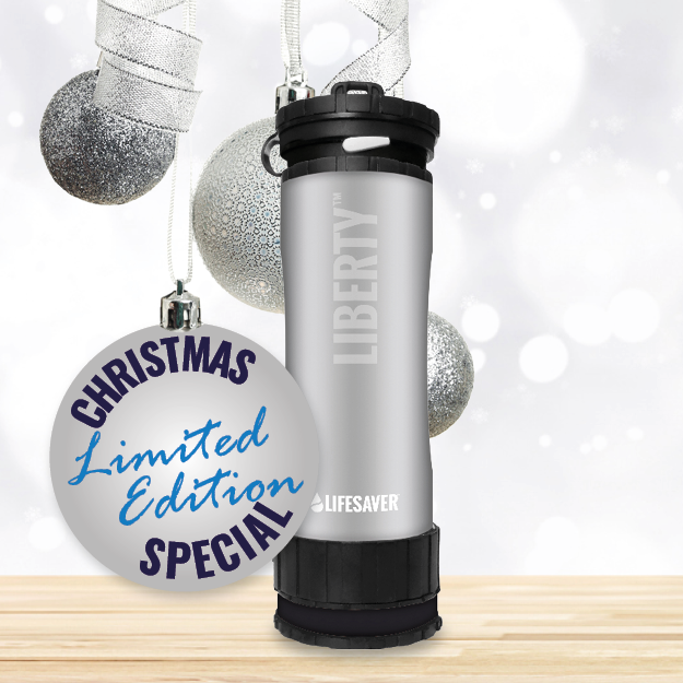 Silver Liberty on a wooden surface, surrounded by Christmas ornaments.