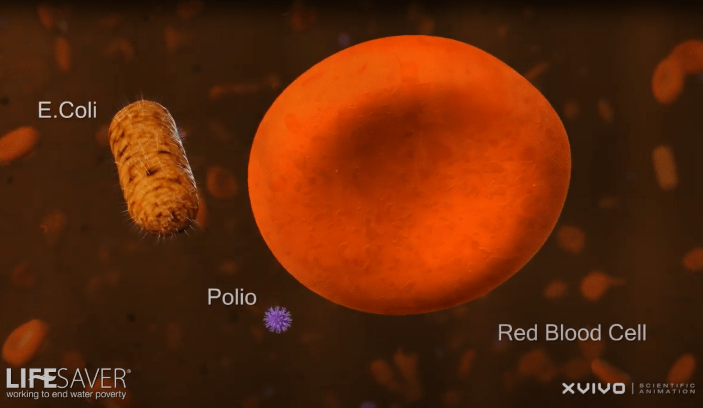 animation of diseases in a blood stream