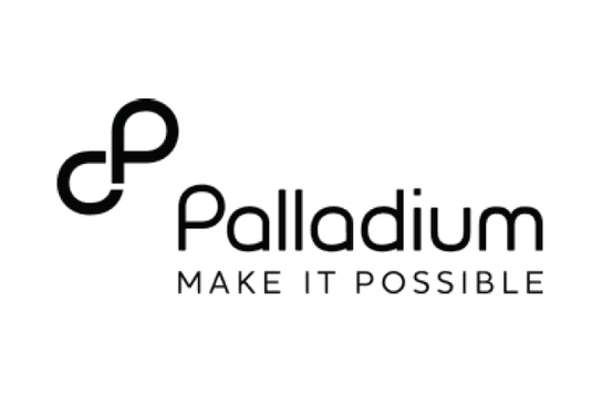 Palladium logo with tagline 'Make It Possible' on a white background